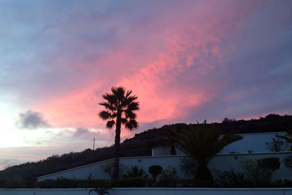 91b5ebb6-7087-41bf-9df6-2295e05d25ec