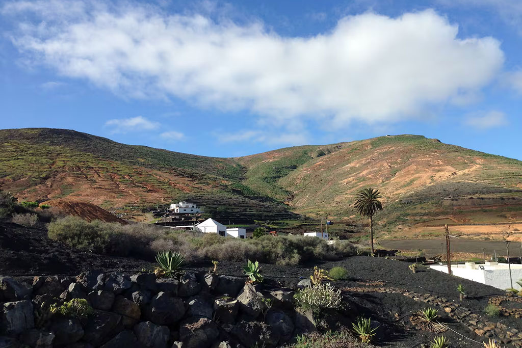 95ee8985-eb14-41a0-9997-46060e4e3859